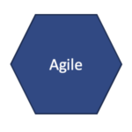 Hexigon with word agile in center