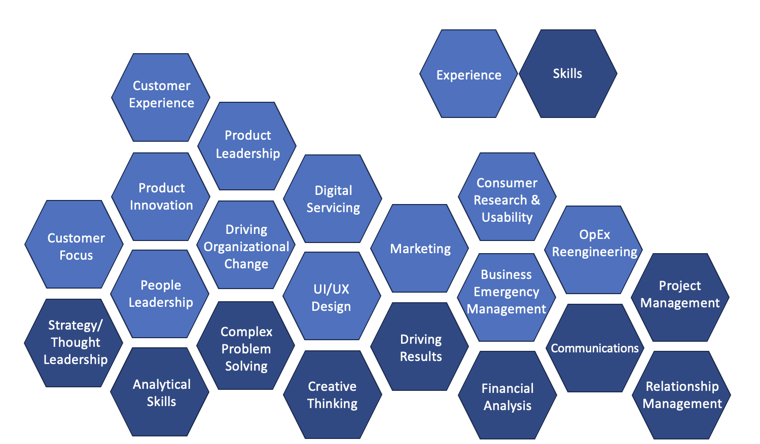 image of 21 hexegons each with a skill or experience listed on it